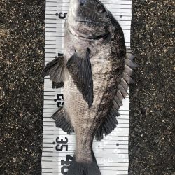 イチノ兄弟（兄）釣果！