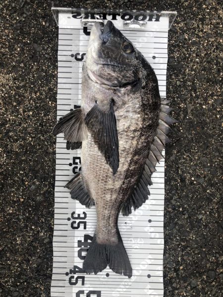 イチノ兄弟（兄）釣果！