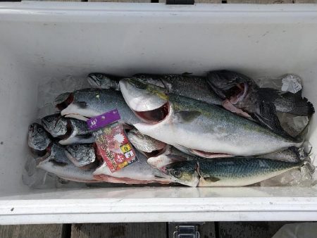 海恵でサーモンコーナーと一般生け簀貸し切り…