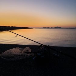 寒ボラのメッカへ行ってみると、、