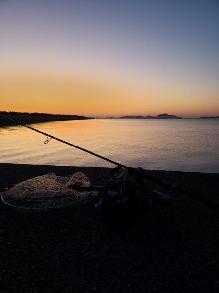 寒ボラのメッカへ行ってみると、、