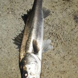 1週間ぶりに行ってきました。