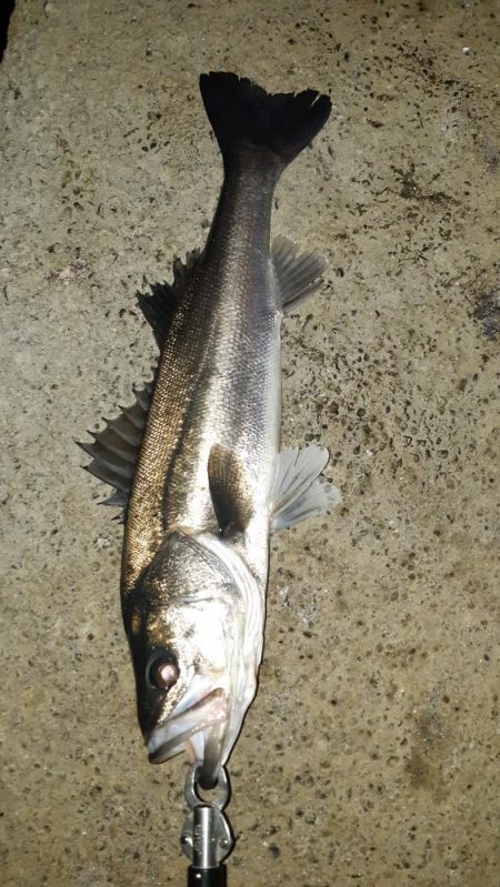 1週間ぶりに行ってきました。