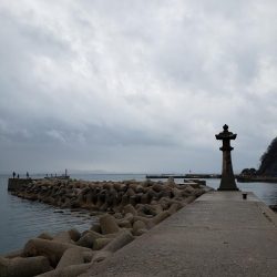 雨上がりそうなのて出撃してみました