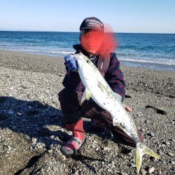 鰤っちやいました