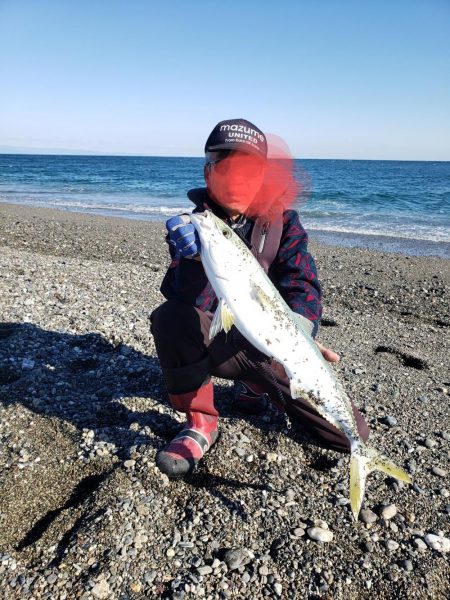 鰤っちやいました