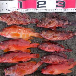 2日連続磯渡しで…