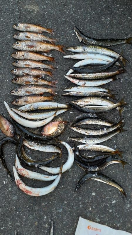 この季節が来たね❗