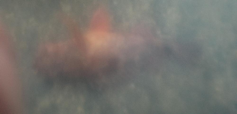 夕方のアジング