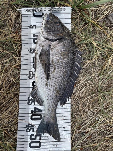 イチノ兄弟（兄）釣果！