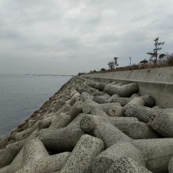 穴釣りは小物でしたがメバリングでサイズアップ