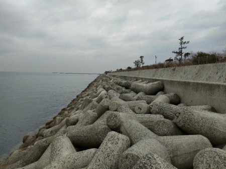 穴釣りは小物でしたがメバリングでサイズアップ