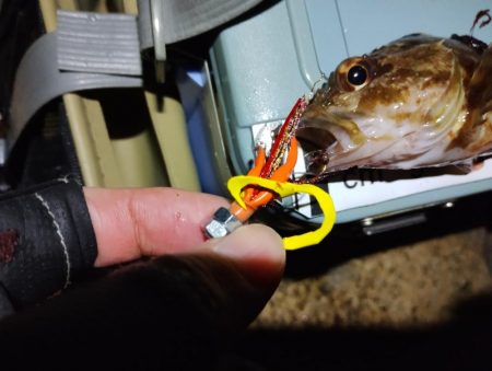 自作簡易マイラバ