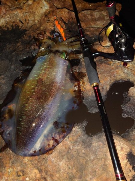 激渋エギングin対馬