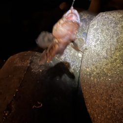 比較的暖かい夜