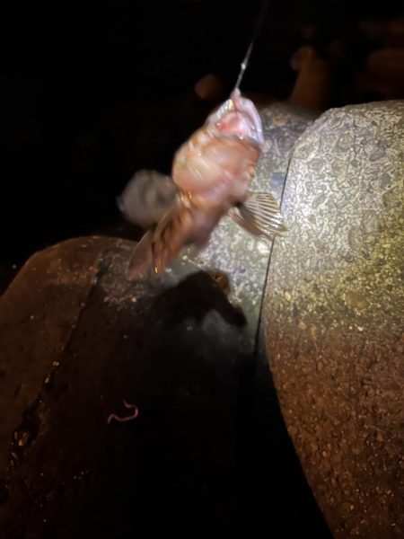 比較的暖かい夜