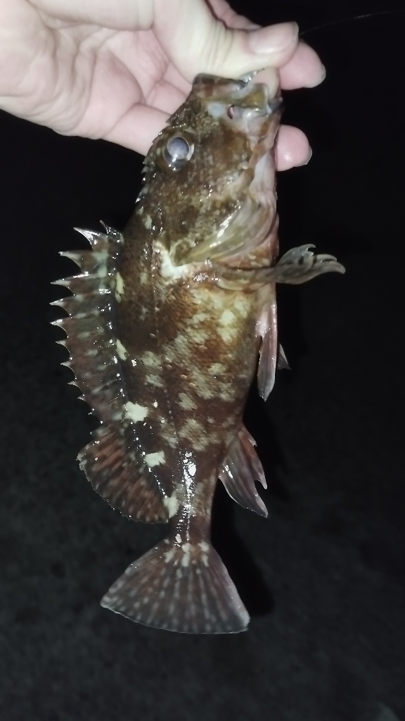 唐揚げ食べたい