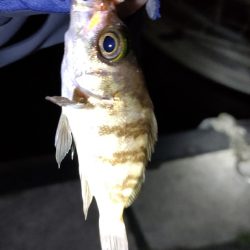 上げ潮の一瞬だけ