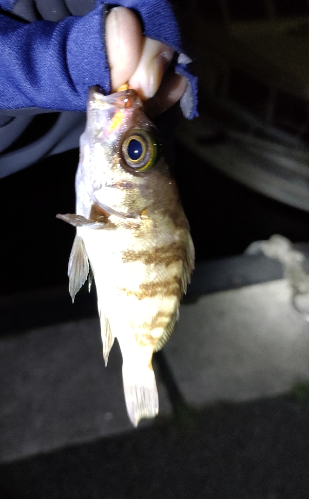 上げ潮の一瞬だけ