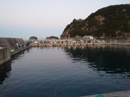 またまたマイワシ