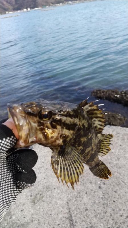 ファーストフィッシュ