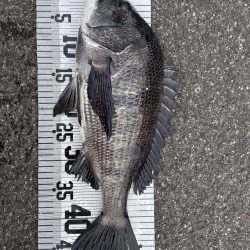 イチノ兄弟（兄）釣果！