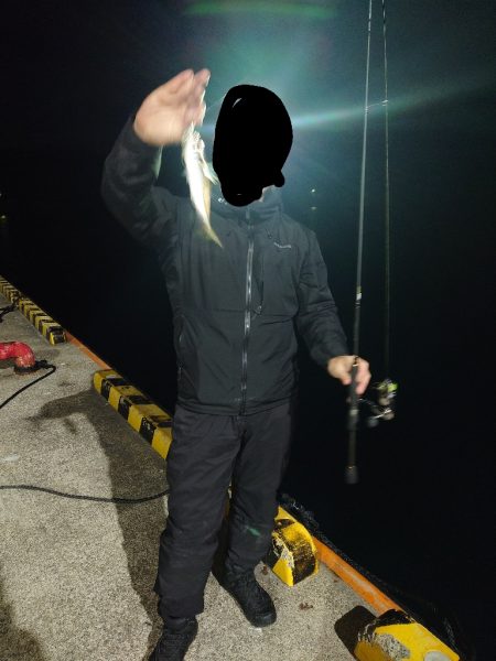 アジングin対馬