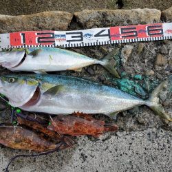 SUPフィッシング