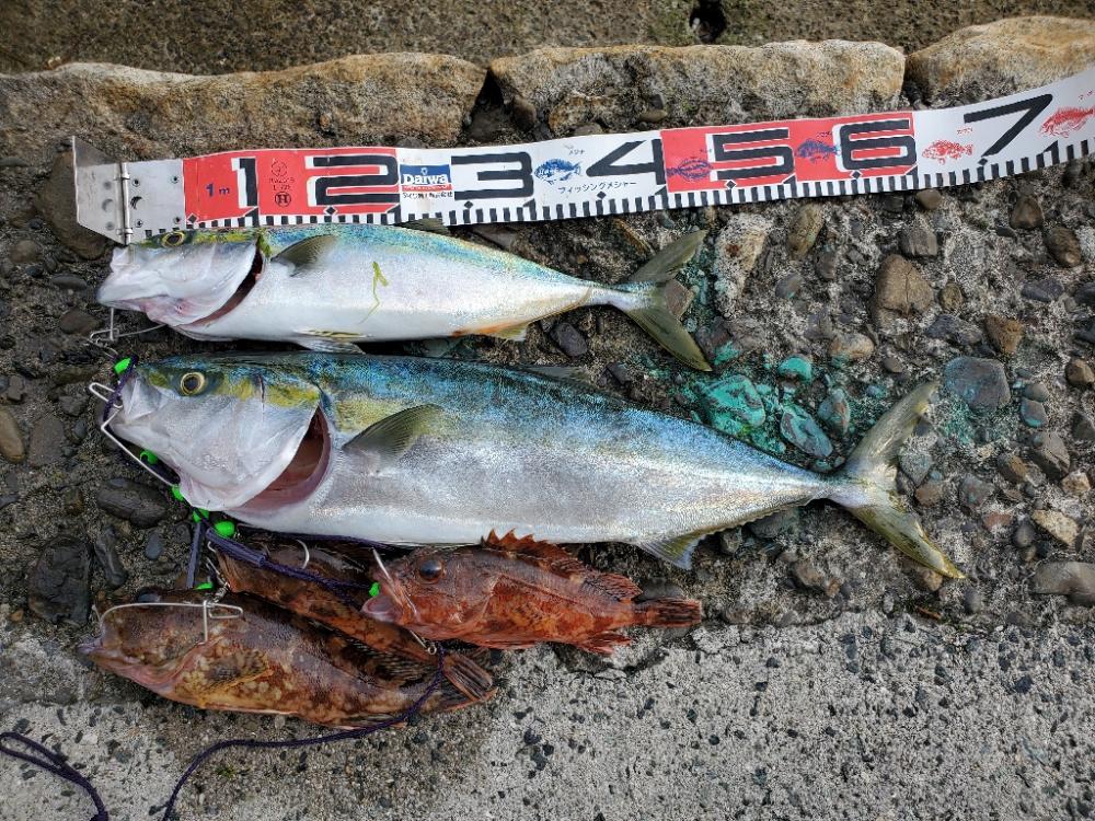 SUPフィッシング