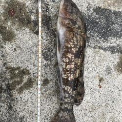 投げていろいろ