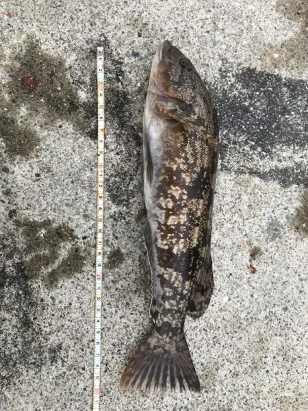 投げていろいろ