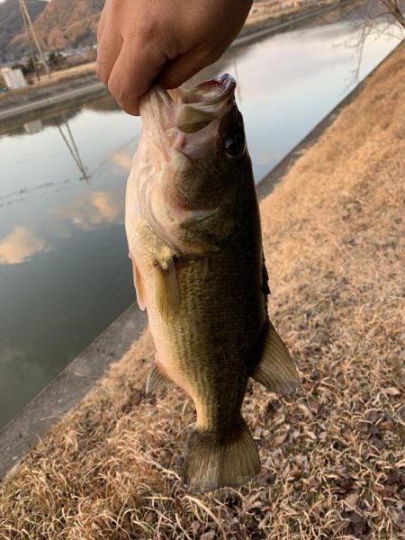 初バスを釣りに