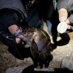 ライトなゲーム