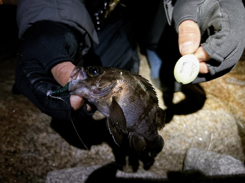 ライトなゲーム