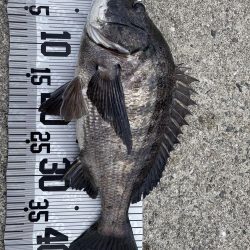 イチノ兄弟（兄）釣果！