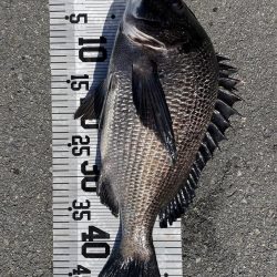 イチノ兄弟（兄）釣果！