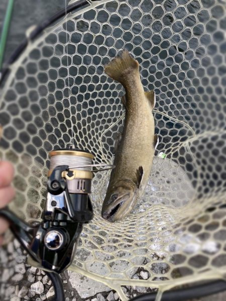釣食浪漫 ～釣って食べて家庭円満～