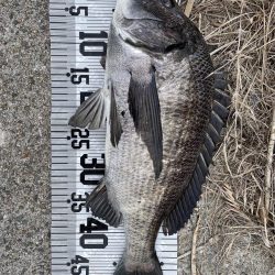 イチノ兄弟(兄)釣果!