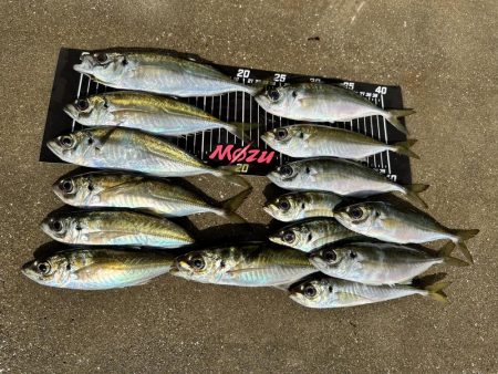 やっぱりスプリット