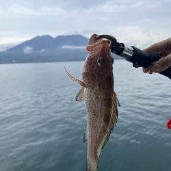 桜島をバックに