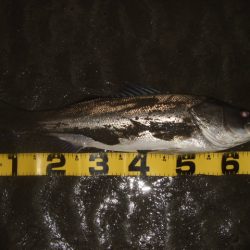 極寒のアフターシーバス