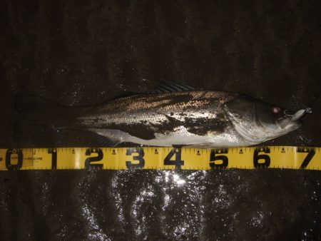 極寒のアフターシーバス