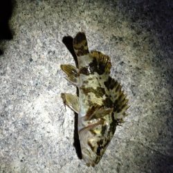 寒い😣渋い😣