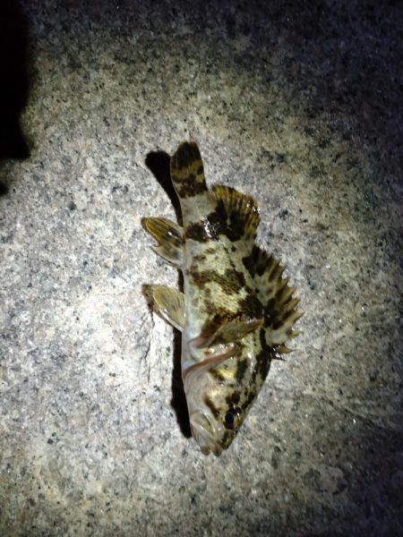 寒い😣渋い😣