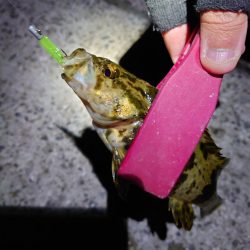 サーチワームでメバリング