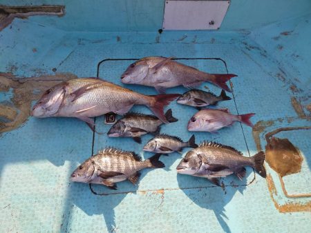 ２月の広島湾に撃沈覚悟で挑む