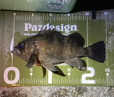 やっぱり渋いメバリング