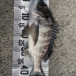 イチノ兄弟（兄）釣果！