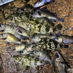 イベント的メバリング