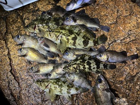 イベント的メバリング